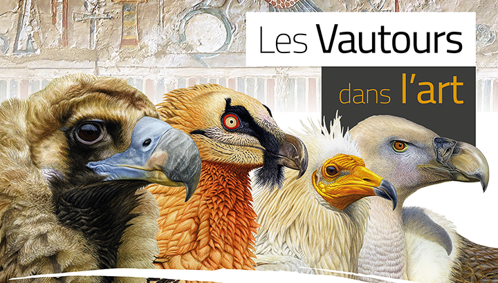Journées mondiales des vautours : Profitez de nombreuses animations gratuites !